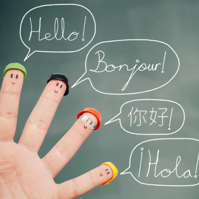 How Foreign Students Can Learn Local Languages?