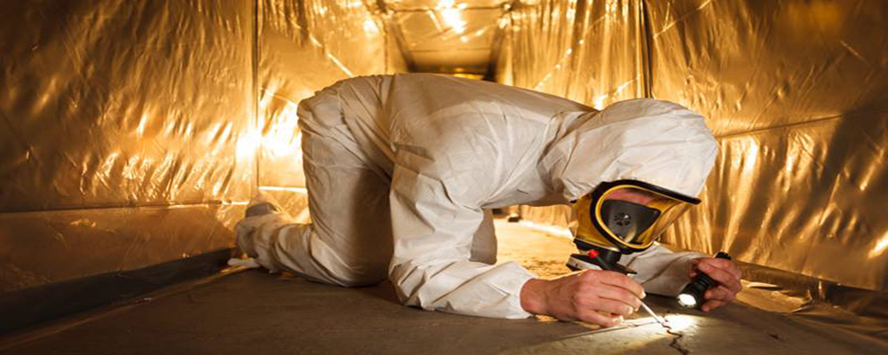 What Are The Qualities Of Someone Who Wants To Be An Asbestos Removal Technician?