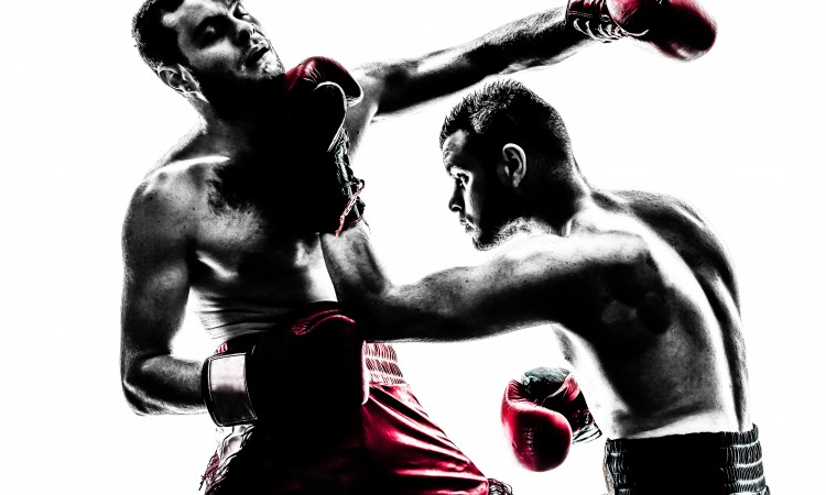Get A First-Class Muay Thai Education